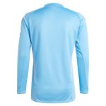 aston villa adidas goalkeeper shirt 2024-25 – long sleeve – 201964005 with custom printing Collection | Official Aston Villa FC Gear Online