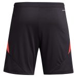 aston villa adidas goalkeeper shorts 2024-25 – 201964002 with custom printing Collection | Official Aston Villa FC Gear Online