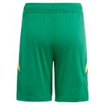 aston villa adidas goalkeeper shorts 2024-25 – 201964010 Collection | Official Aston Villa FC Gear Online