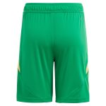 aston villa adidas goalkeeper shorts 2024-25 – kids – 201964012 with custom printing Collection | Official Aston Villa FC Gear Online