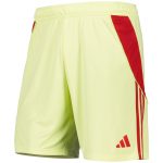 aston villa adidas goalkeeper shorts 2025-26 – kids with custom printing Collection | Official Aston Villa FC Gear Online