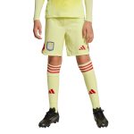 aston villa adidas goalkeeper shorts 2025-26 – kids with custom printing Collection | Official Aston Villa FC Gear Online