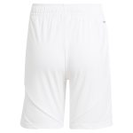 aston villa adidas home shorts 2024-25 with custom printing Collection | Official Aston Villa FC Gear Online